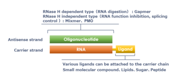 image for 1. HDO Structure