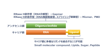 1. HDOの構造の画像