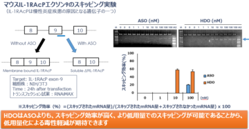 7. スプライシング制御ASOの活性向上の画像