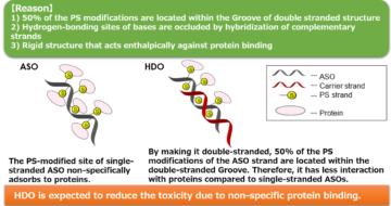 image for 9. Advantages of HDO: Protein binding characteristic（2）