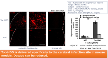 image for 16. Delivery to cerebral infarction site