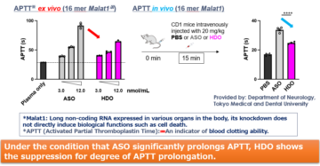 image for 10. Advantages of HDO: Effect on blood coagulation